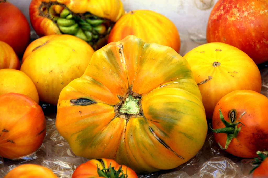 heirloom tomatoes - farmers market